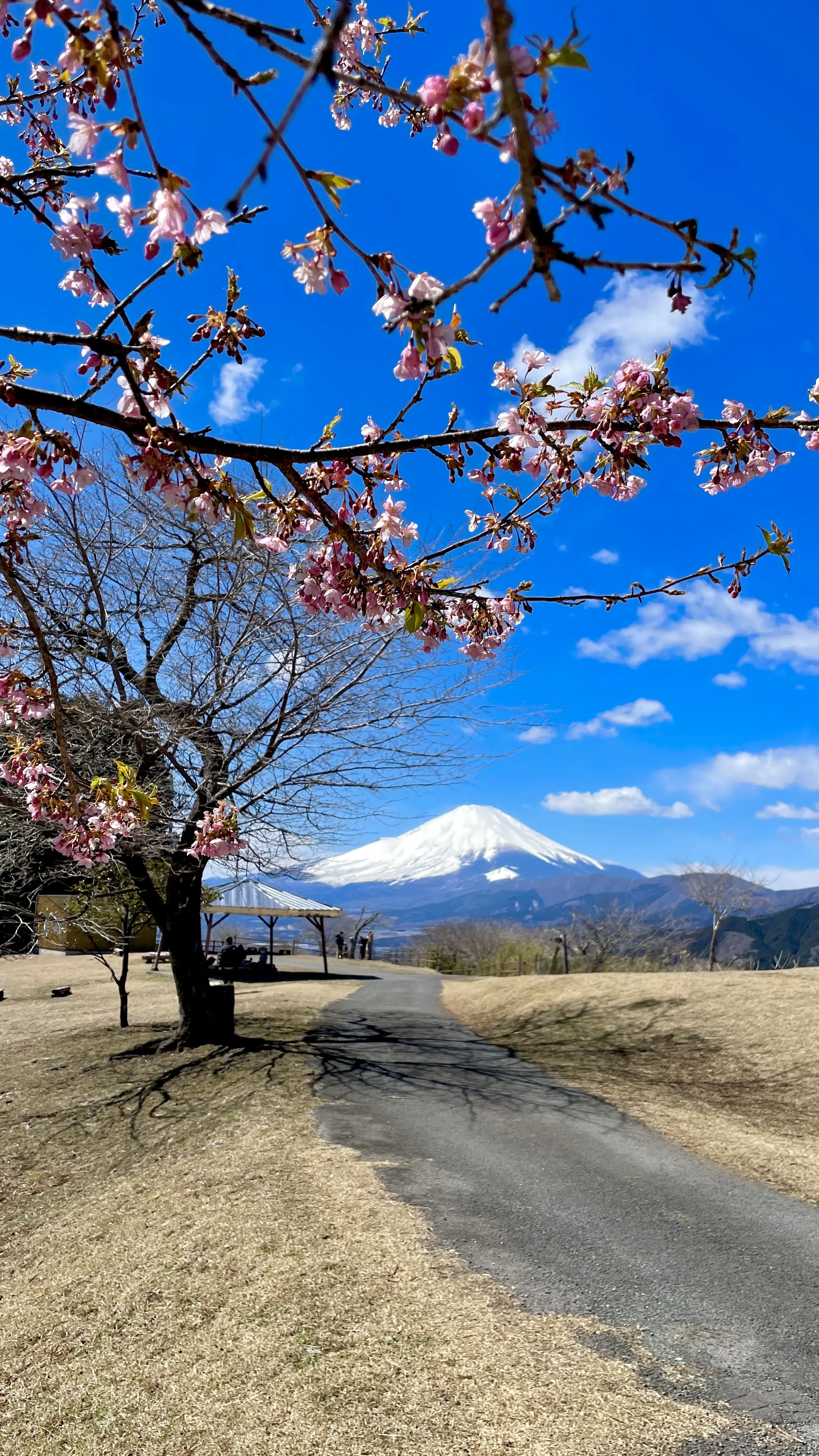 Wanderweg in der Natur rund um Tokio