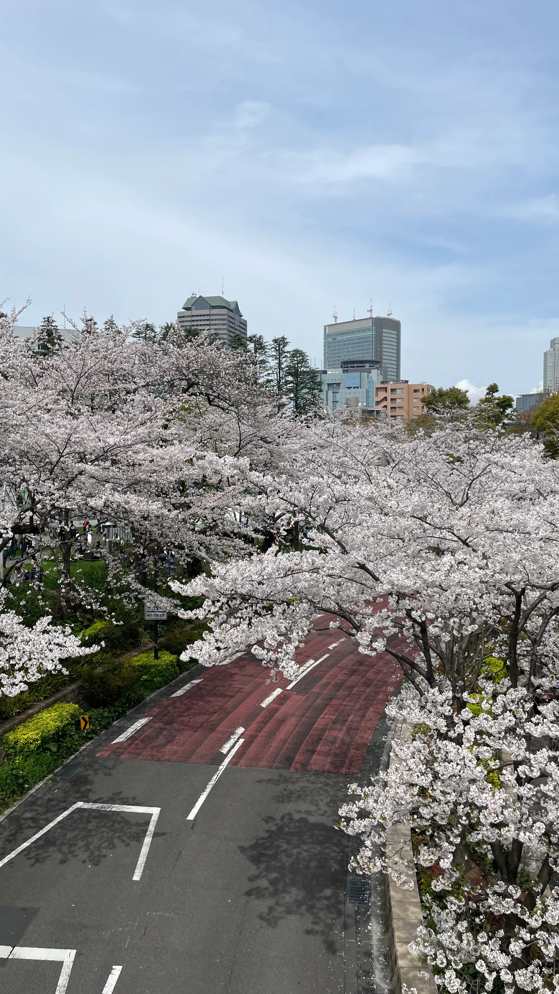 Belebte Straße in Tokio